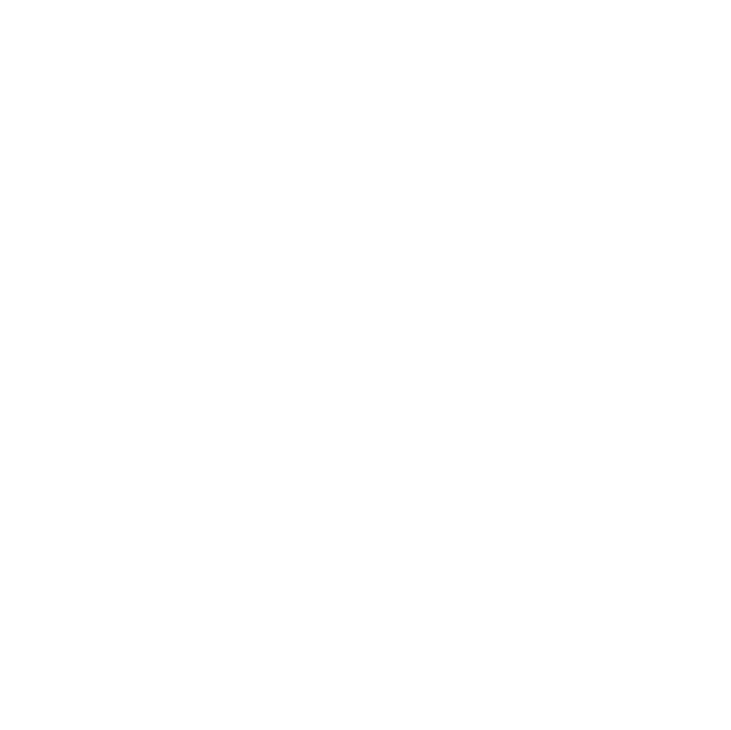 Stassi Wellness Center Logo